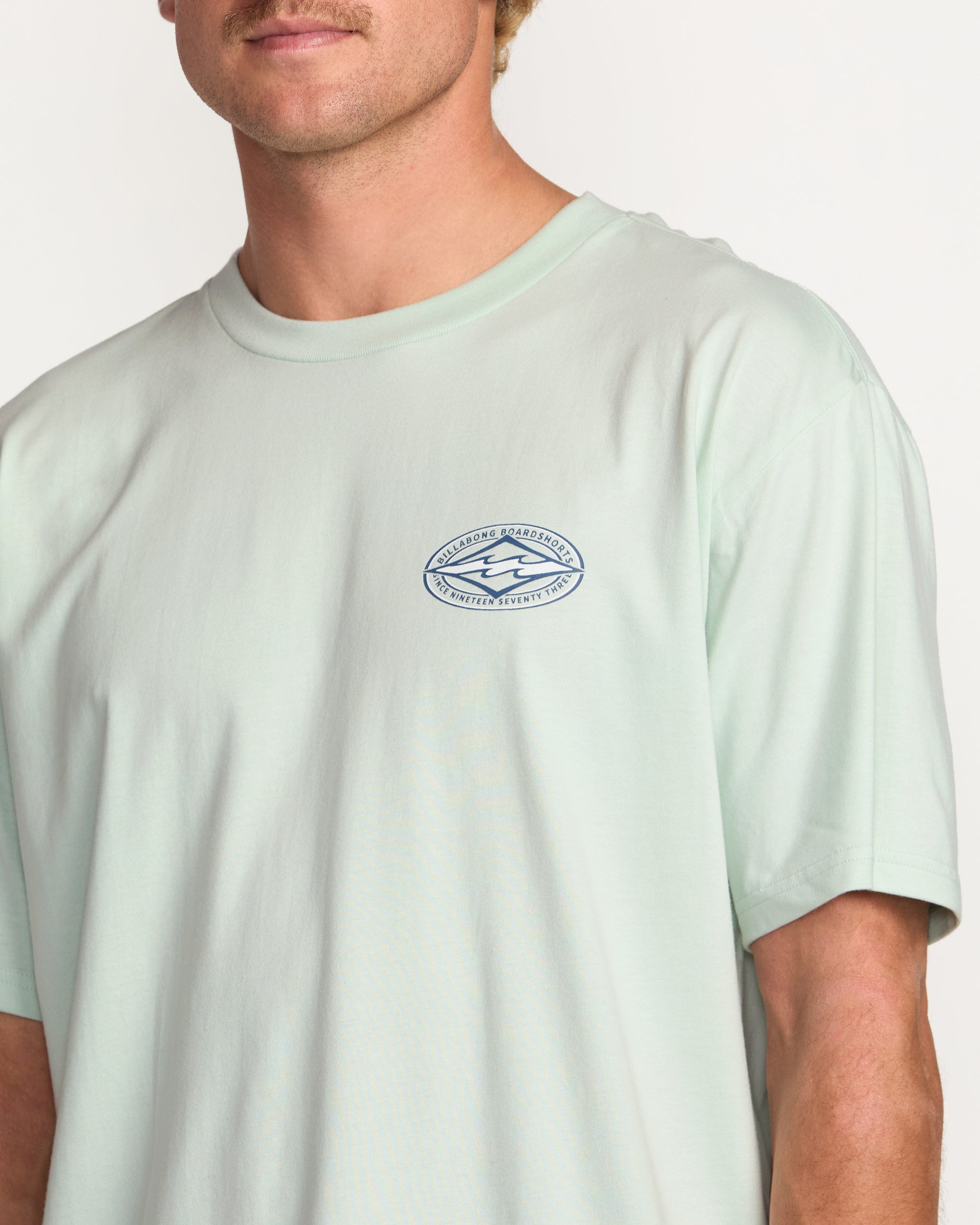 Diamond Vision Regular Tee - Ash Blue - Image 7