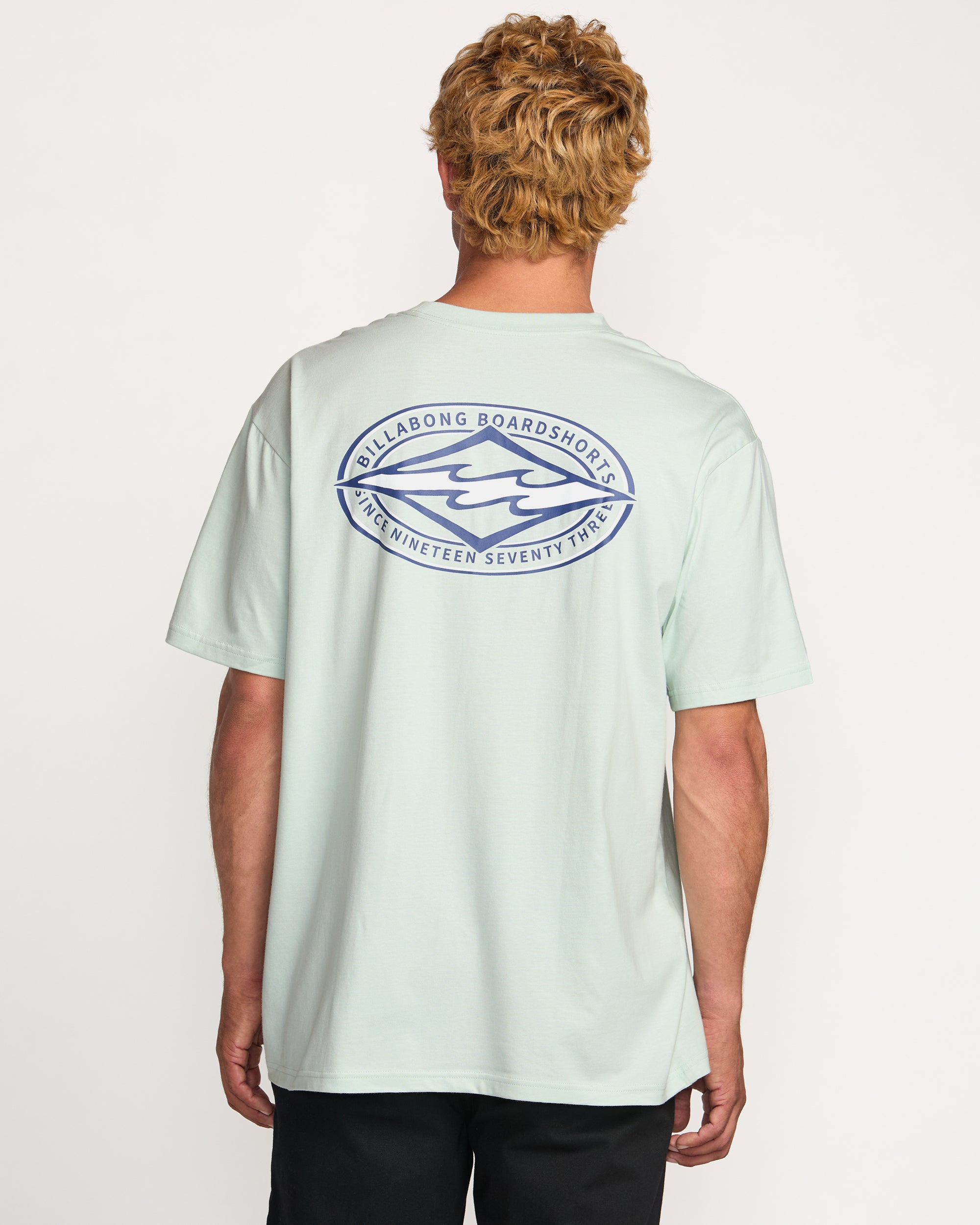 Diamond Vision Regular Tee - Ash Blue - Image 2
