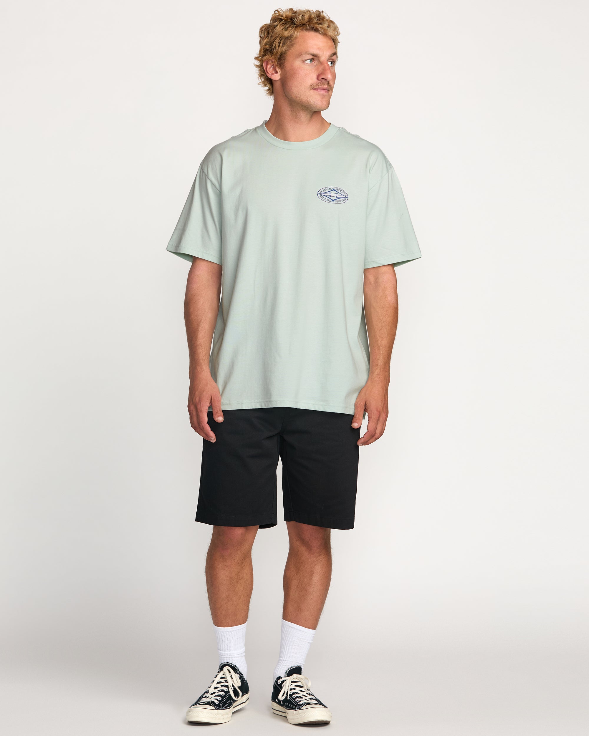 Diamond Vision Regular Tee - Ash Blue - Image 5