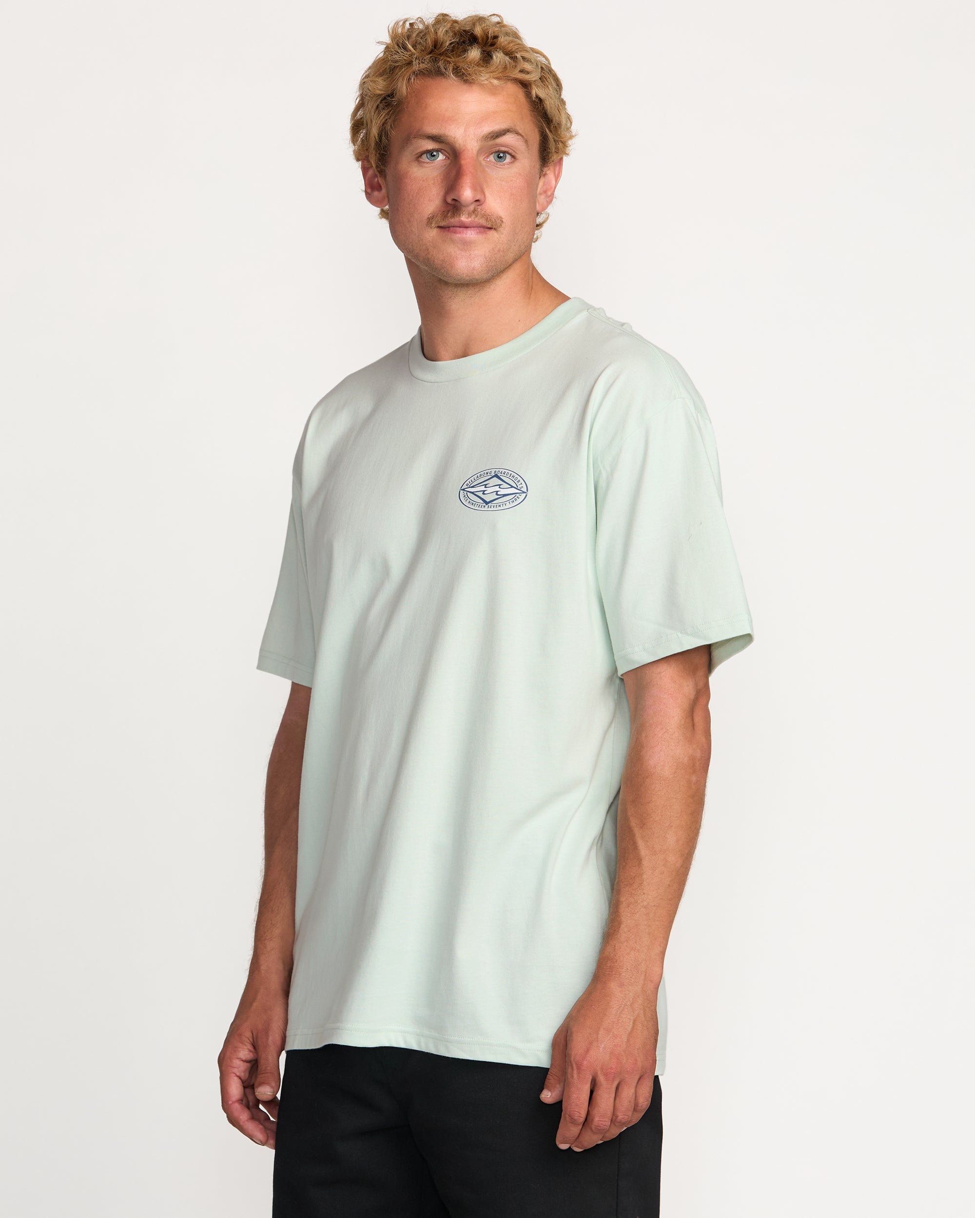 Diamond Vision Regular Tee - Ash Blue - Image 6