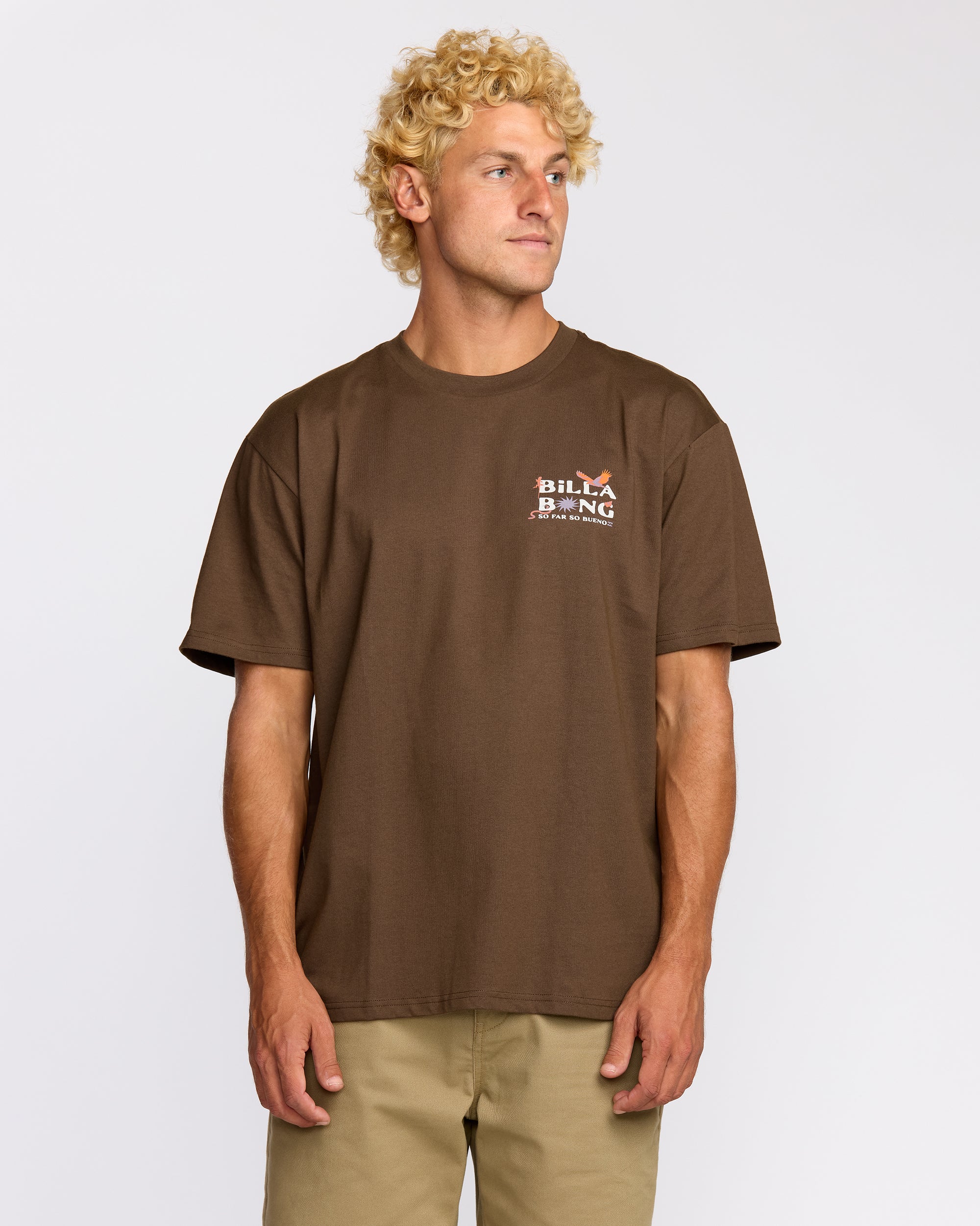 Land To Sea Regular Short Sleeve T-Shirt - Rustic Brown